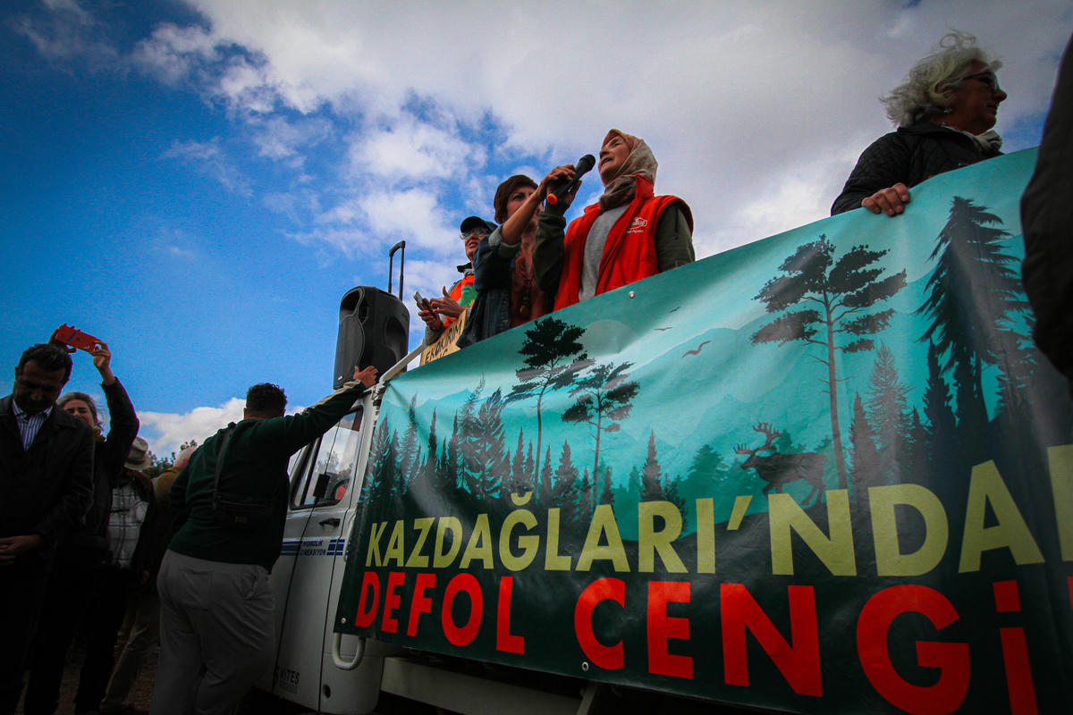 While you are reading these lines they are cutting